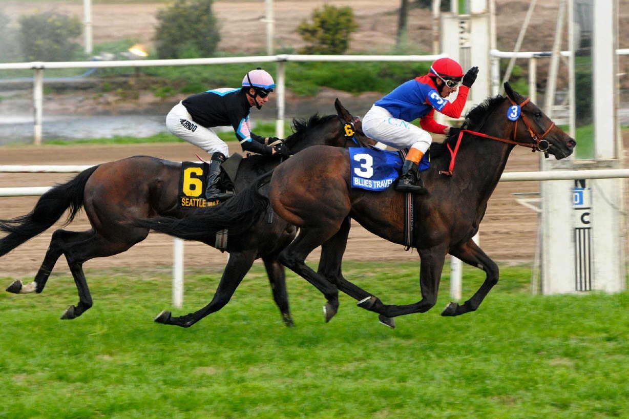 Escándalo en el turf: drogas prohibidas en caballos de carrera – ADN