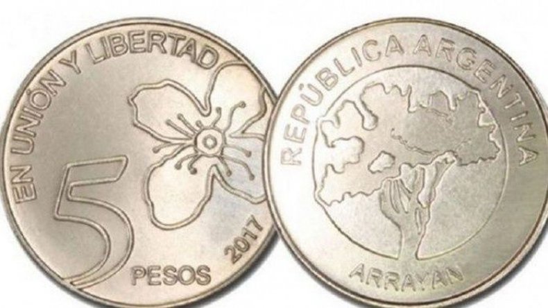 Moneda de 5 pesos cambió a San Martín por un arrayán – ADN